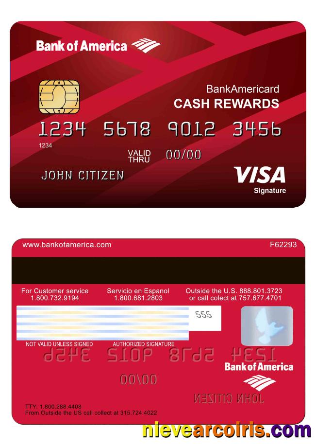 USA Bank of America Visa card 1